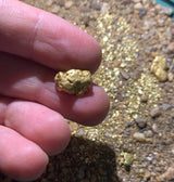 *Summer 2020* NUGGET RESERVE '3 Ounce Nugget Hunt' - Gold Paydirt Concentrate - Panning Pay Dirt Bag