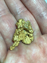 Mammoth 'PREHISTORIC NUGGET' Paydirt - Gold Prospecting Panning Concentrate Pay Dirt Bag