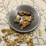 Mammoth 'PREHISTORIC NUGGET' Paydirt - Gold Prospecting Panning Concentrate Pay Dirt Bag