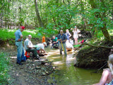 JACKPOT 150 'GOLD NUGGET RUSH' Gold Paydirt Panning Unsearched
