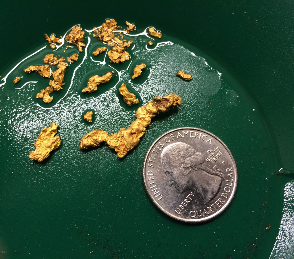 5 Lbs. Rich Gold Paydirt Concentrates Unsearched – Pay Streak