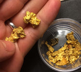 Jackpot 'BONANZA' - Gold Panning Paydirt