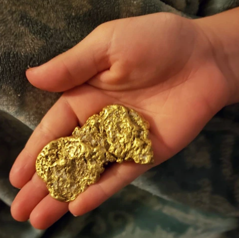 Discover Nome, Alaska's Gold Paydirt Bonanza: Unveiling the Riches of Massive Gold Nuggets