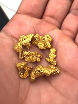 Nugget Reserve 'Museum Specimen Chase' Vault Edition - Gold Panning Paydirt