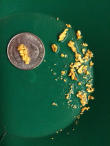 Mammoth 'PREHISTORIC NUGGET' Paydirt - Gold Prospecting Panning Concentrate Pay Dirt Bag