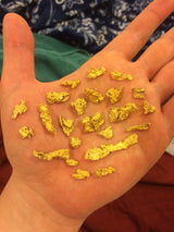 *BOGO*: MAMMOTH 'TROY OUNCE NUGGET HUNT' Gold Paydirt - Gold Paydirt Concentrate