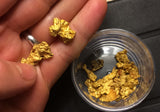 *BOGO* Pioneer '2 OUNCE NUGGET HUNT' - Gold Panning Paydirt Concentrate
