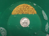 5 Lb. Rich Gold Paydirt Unsearched Concentrate