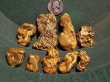 *BOGO* Gold Diggers Delight '10 TROY OUNCE GOLD HUNT' - Gold Paydirt Panning Concentrates